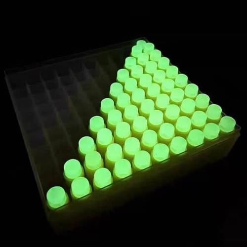 Azure Dragon Glow in the Dark Stefan Short Darts